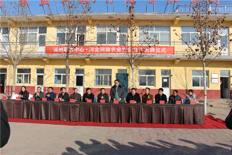 当阳市职教中心农学专业课题研究申报材料(上交)